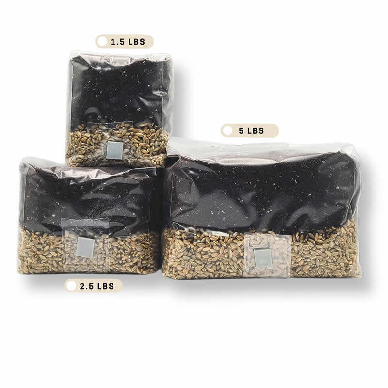 Mushroom Grow Bags
