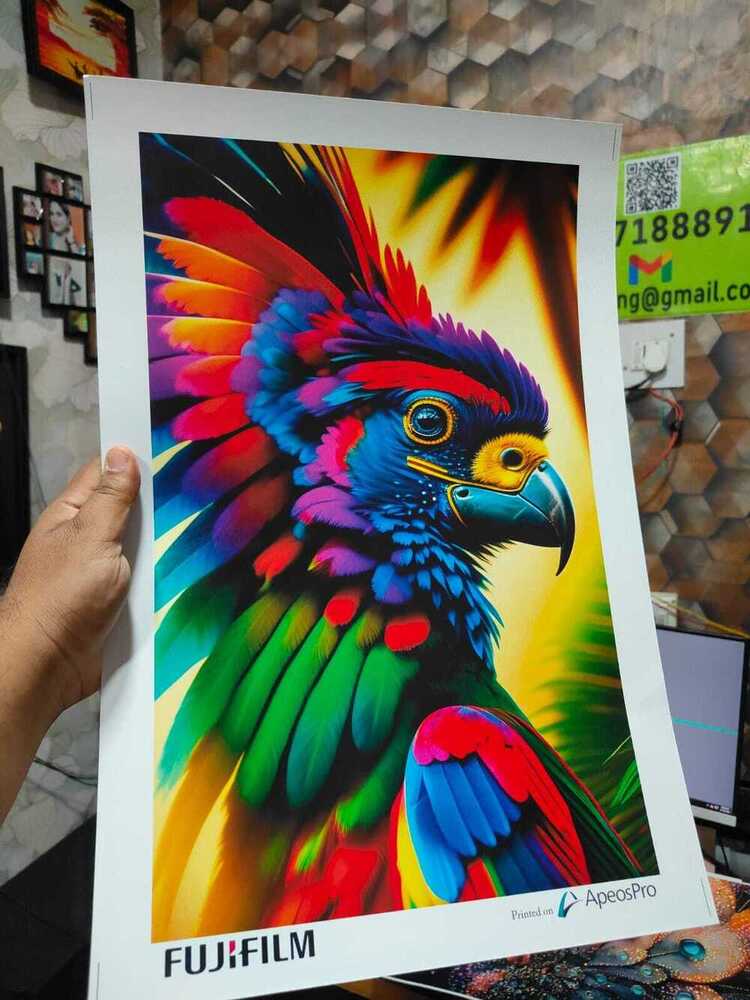 Album And Commercial Printing Machine Fujifilm ApeosPro C810 For Photo Production Color Printer