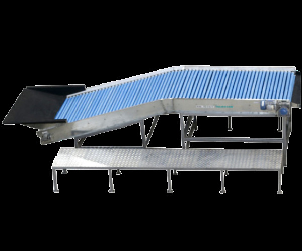 Model - Feeding Cum Sorting Line