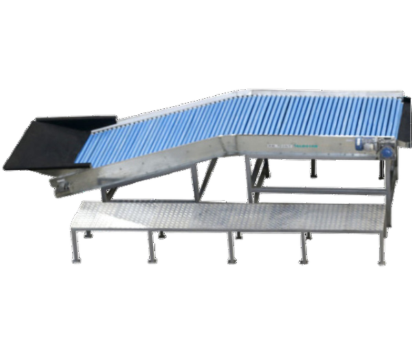 Model - Feeding Cum Sorting Machine