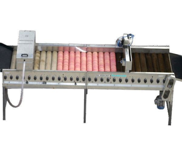 Model - Washing Cum Sponging Machine