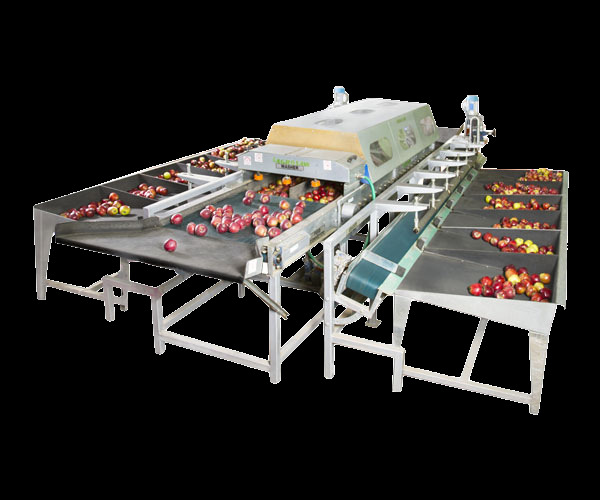 Industrial Apple Grading Machine