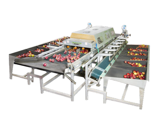 Industrial Apple Grading Machine