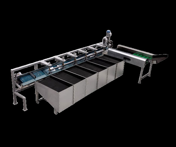 Apple Grading Machine