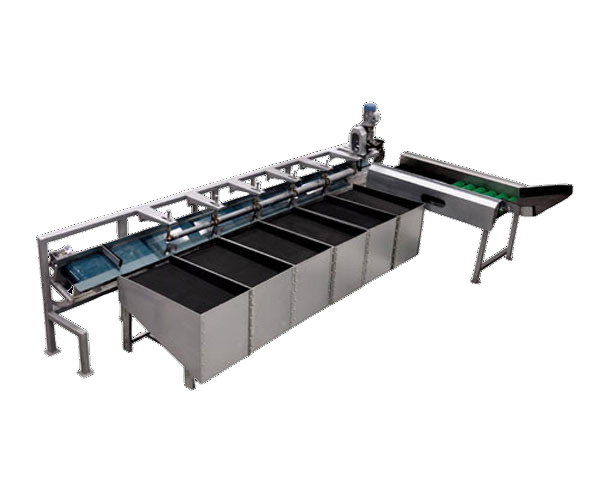 Apple Grading Machine