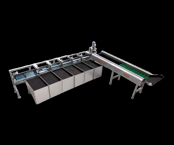 20 kg Apple Grading Machine
