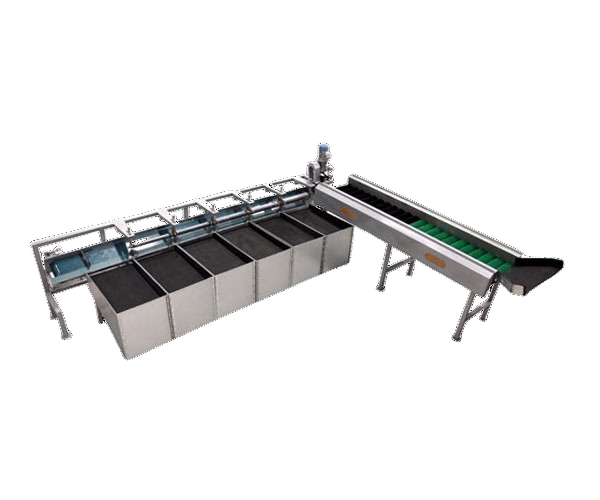 20 kg Apple Grading Machine