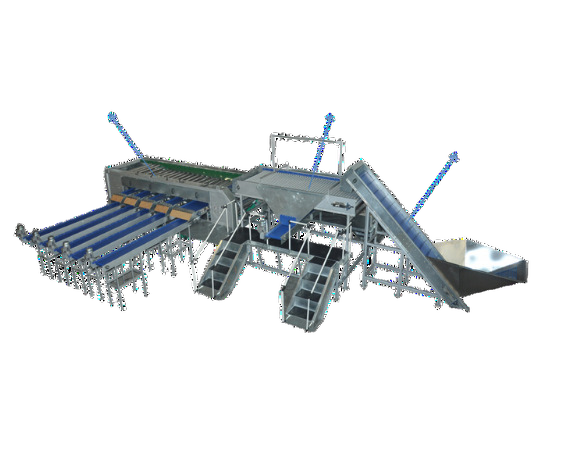 2-3 Tph Multi Commodity Fruits & Vegetables Sorting & Grading Line