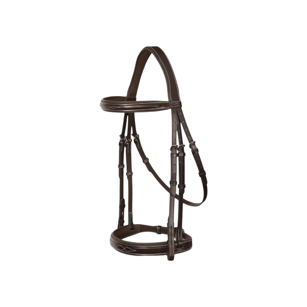 Horse Leather Bridle