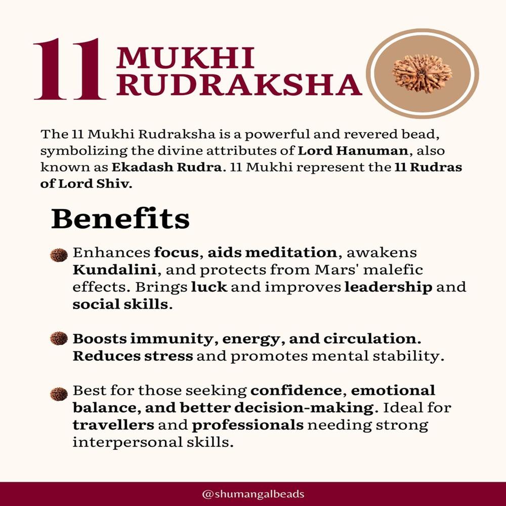 11 Mukhi Rudraksha Beads