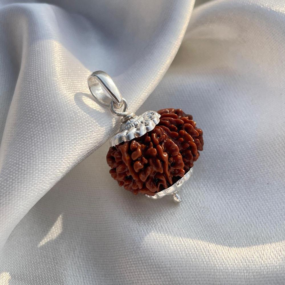 11 Mukhi Rudraksha Beads