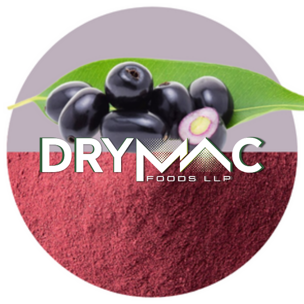 Spray Dried Jamun Powder