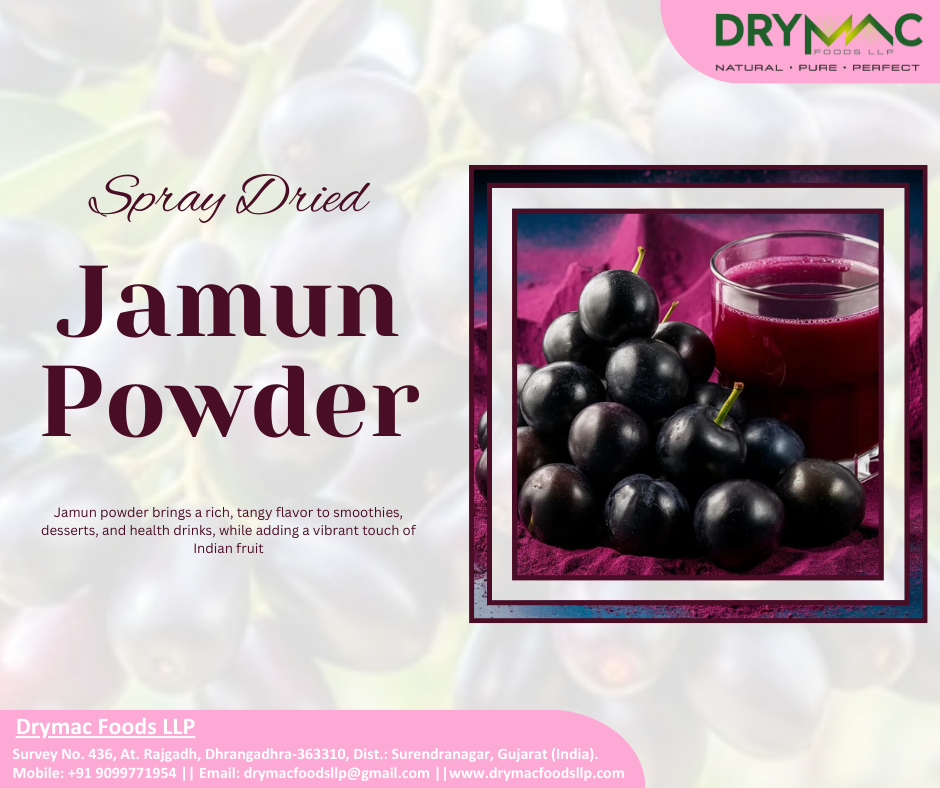Spray Dried Jamun Powder