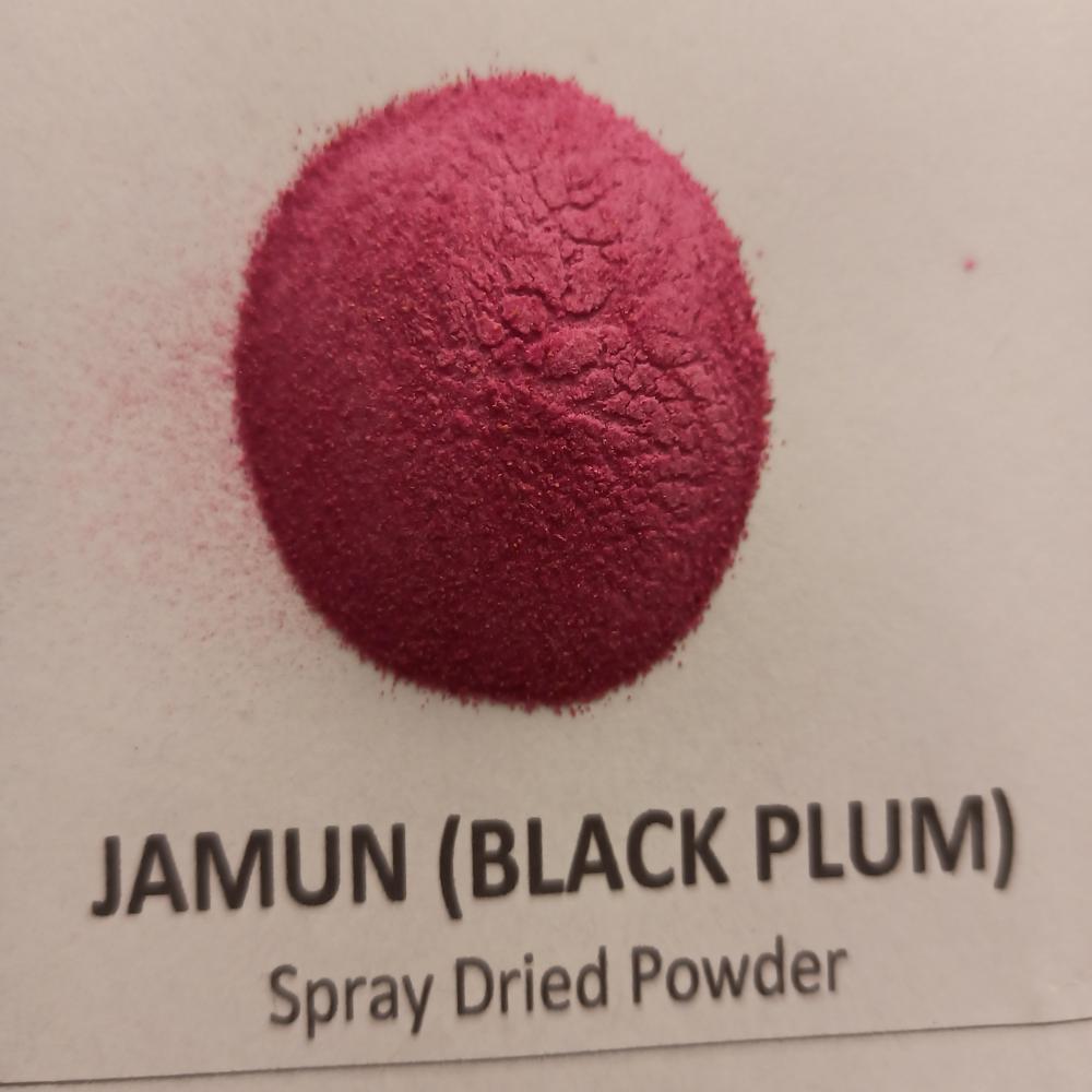 Spray Dried Jamun Powder