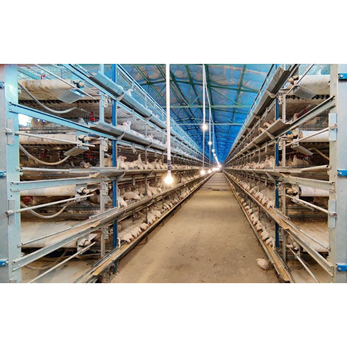 Automatic Layer Cage System