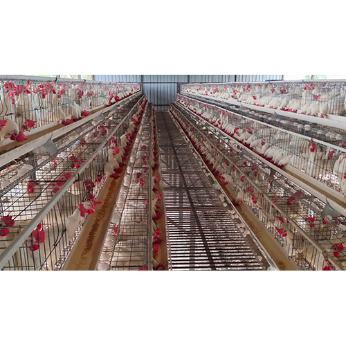 Manual Layer Cage