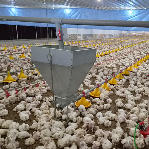 Automatic Pan Feeding System