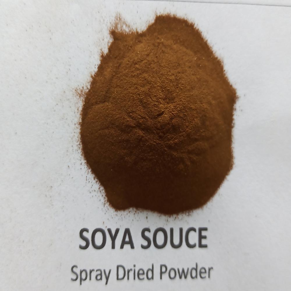 Spray Dried Soya Sauce Powder