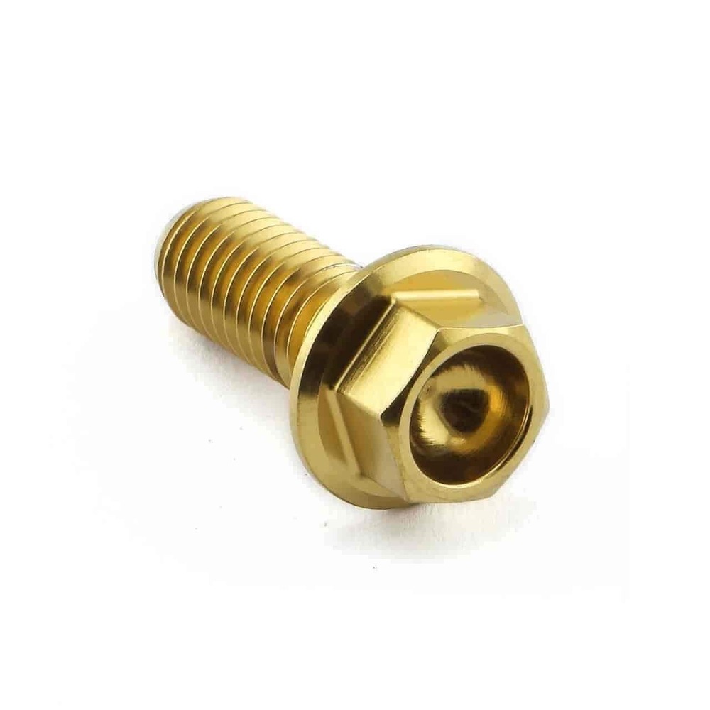 Stainless Steel Golden Flange Head Bolt