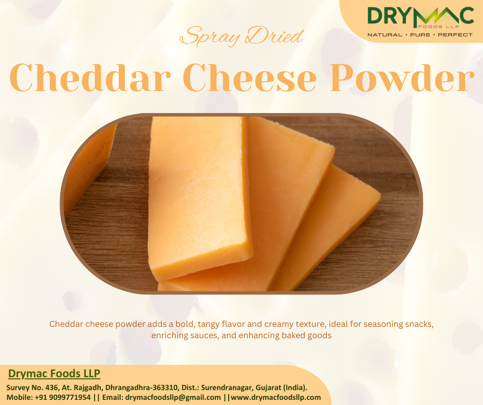 Spray Dried Cheddar Cheese Powder