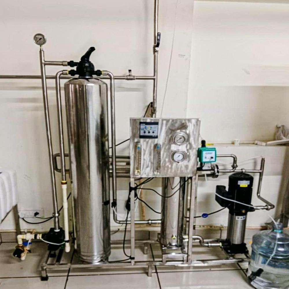 SS 250LPH Ro Plant