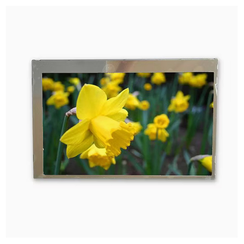 2.4 Inch COM24H2P71ULCTFT Lcd Panel Screen