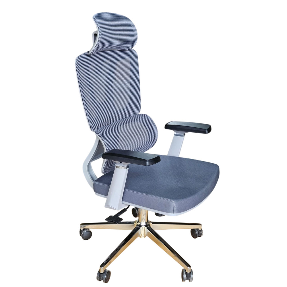 Ergonomic High Back Office Chair