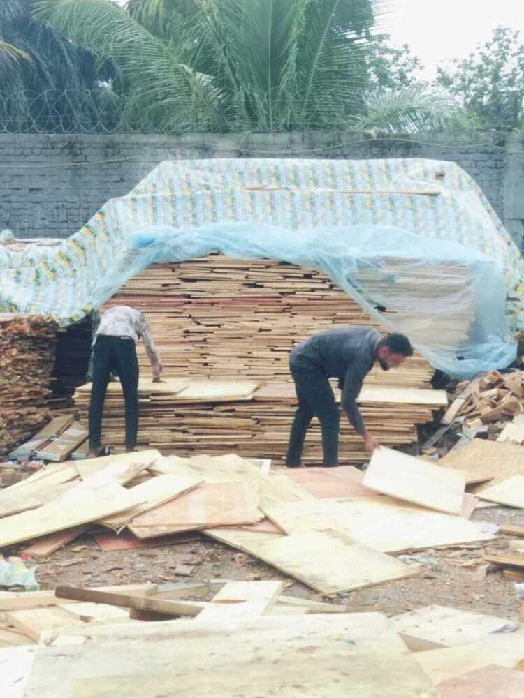 8 mm to 16 mm Plywood