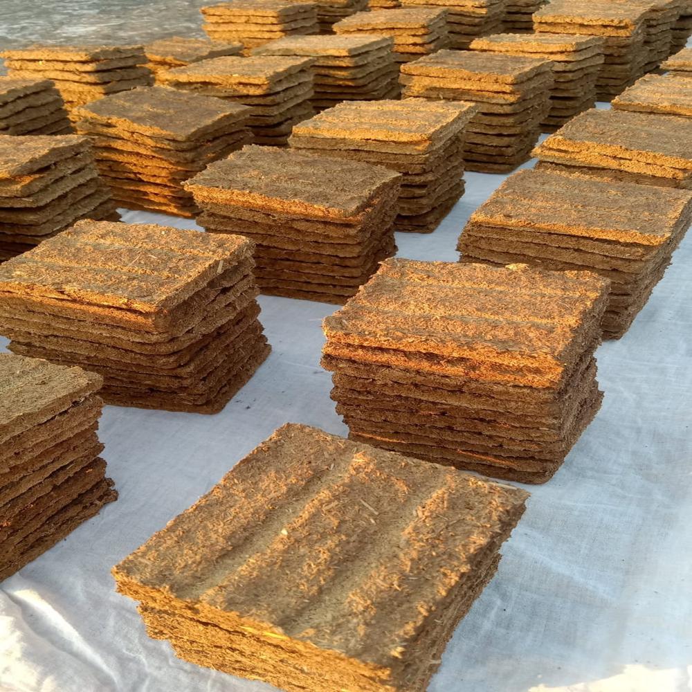 cow dung cakes