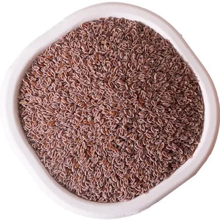 Psyllium Seeds