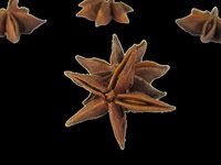 Star Anise Spices