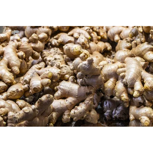 Fresh Ginger