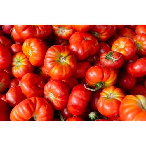 Fresh Tomato