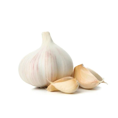 Fresh Garlic