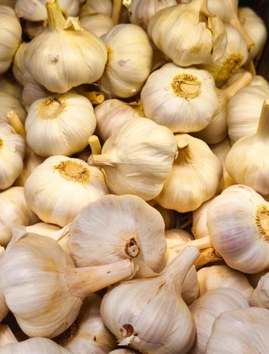 Fresh Garlic