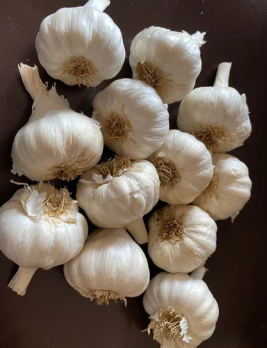 Fresh Garlic