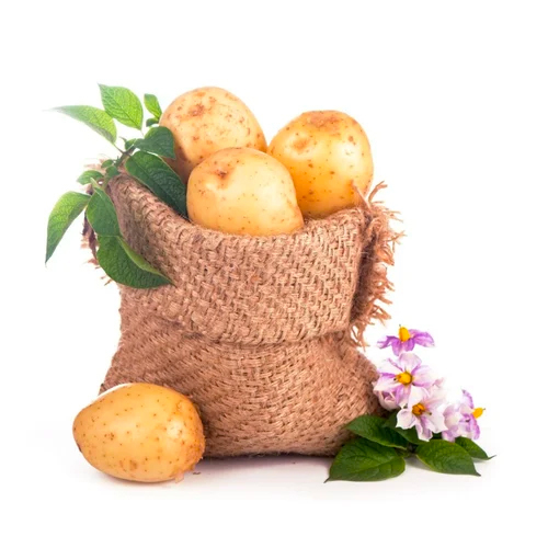 Fresh Potato