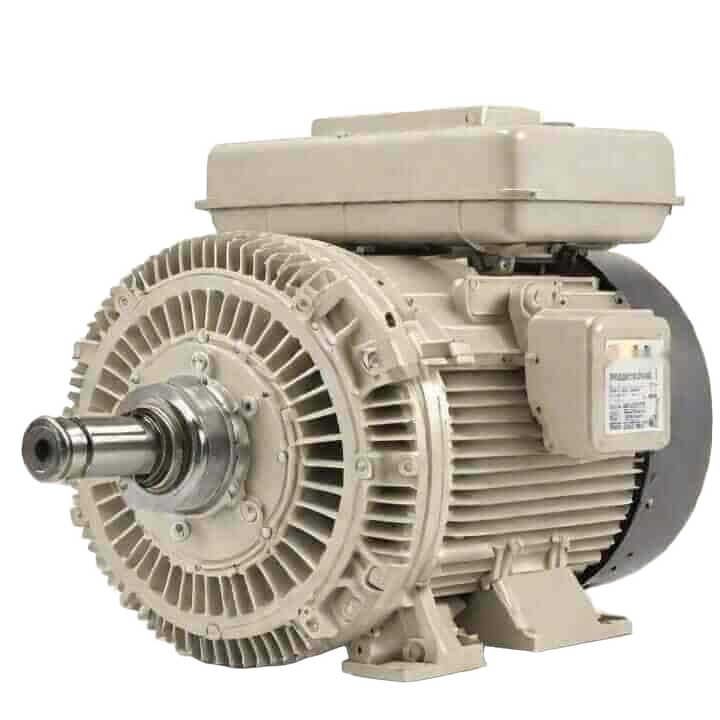 Single Phase Heavy Duty Motor