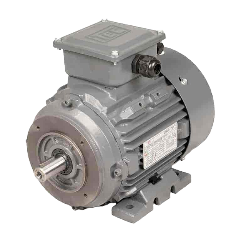 Three Phase Cast Iron Face Mounted Motor