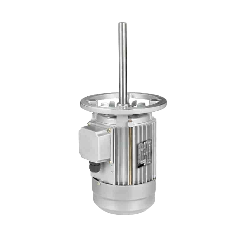 Single Phase Double Shaft Motor For Industrial Use
