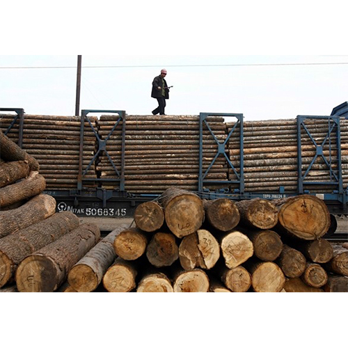 Indian Timber