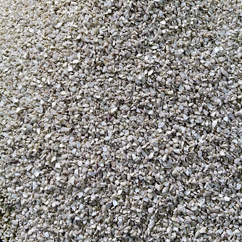 SWP Cashew