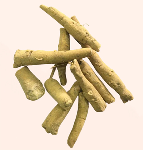 Tonic Roots And Rejuvenative Adaptogens
