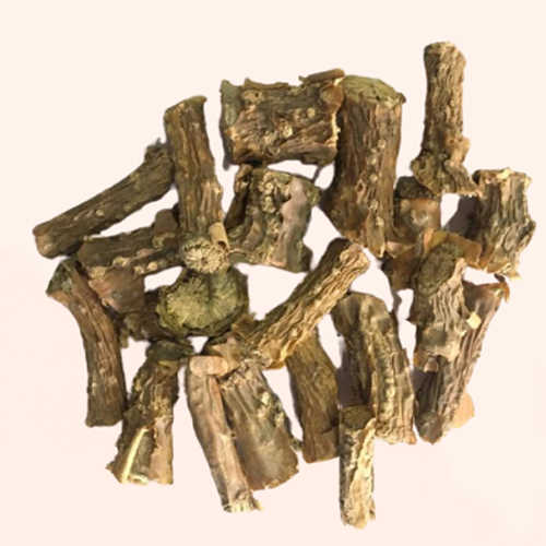 Tinospora Cordifolia Giloy