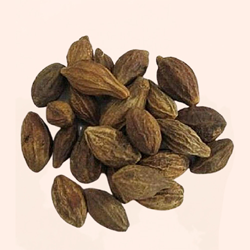 Terminalia Chebula