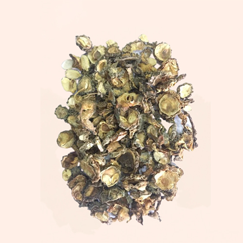 Momordica Charantia