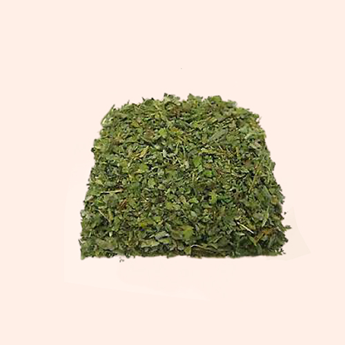 Gymnema Sylvestre