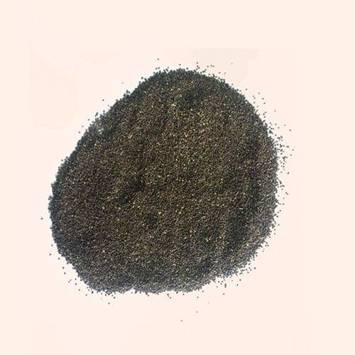 Ocimum Tenuiflorum