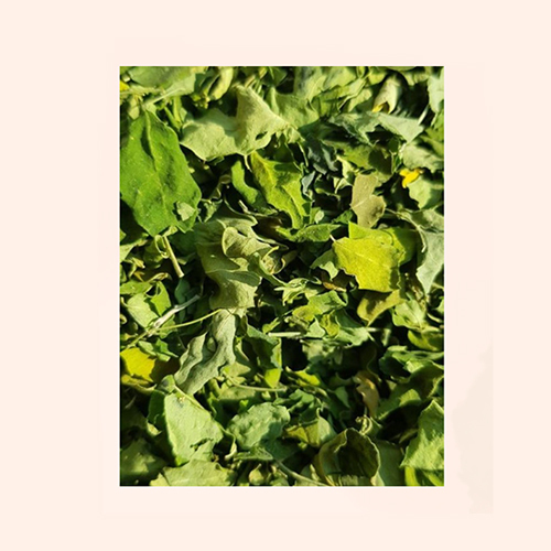 Therapeutic Foliage And Flowers