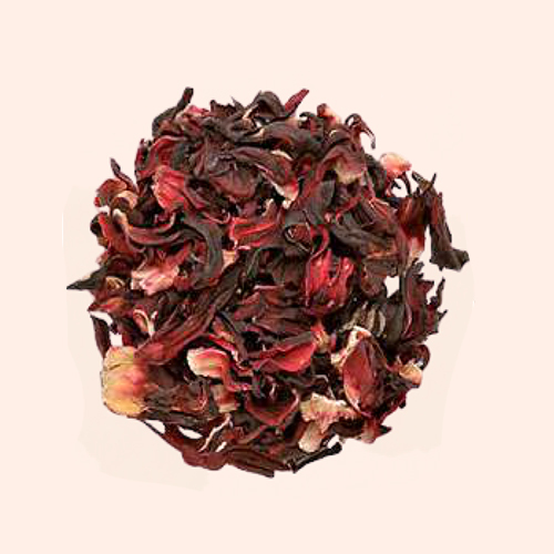 Hibiscus Rosa-Sinensis
